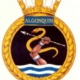 CFB Esquimalt Naval and Military Museum - Articles - A Sailors Life - Badge Reputation - Algonquin Badge
